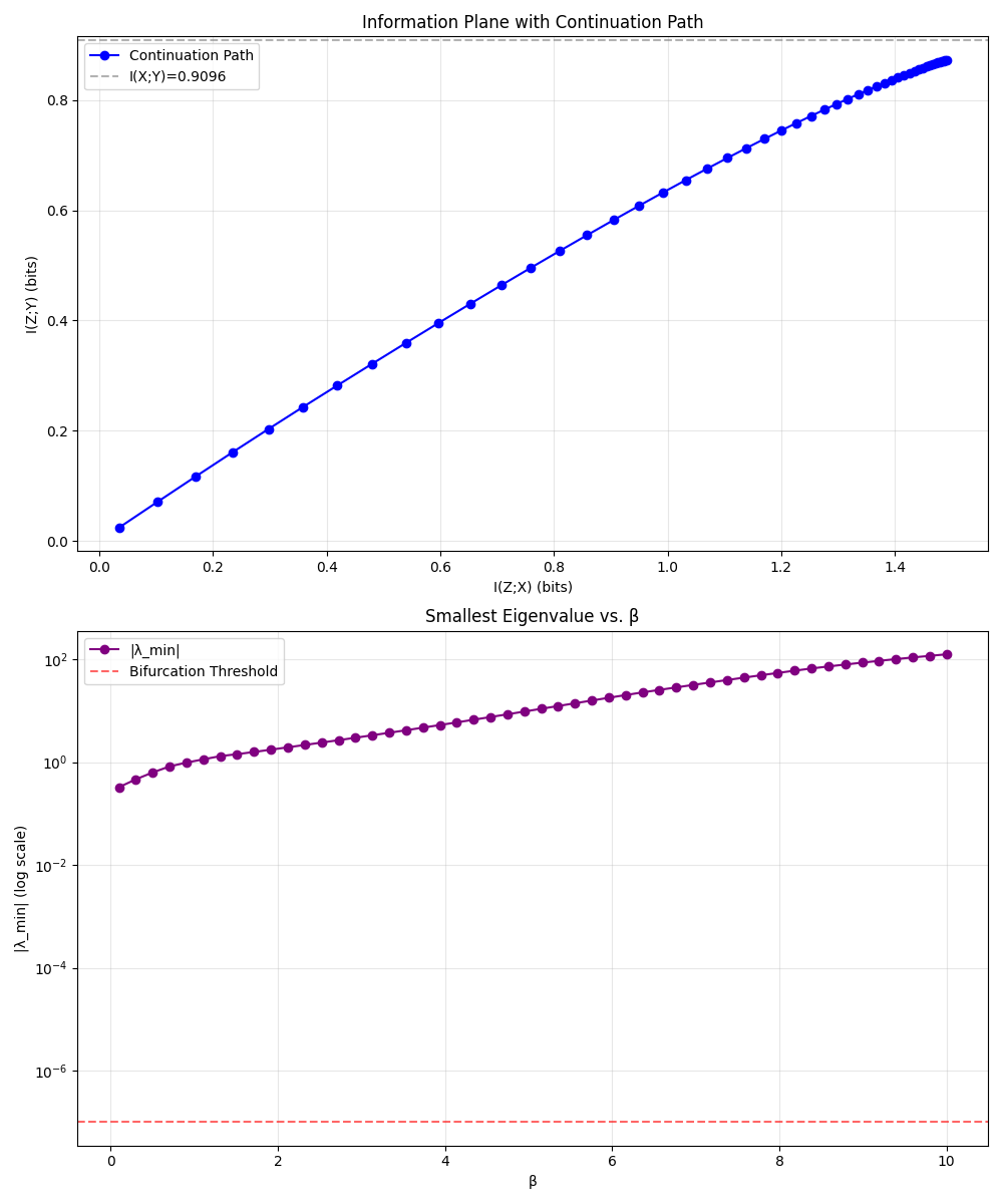 Smooth path through IB optimization compared to traditional approach with phase transitions Information bottleneck smooth optimization visualization showing continuation results without phase transitions